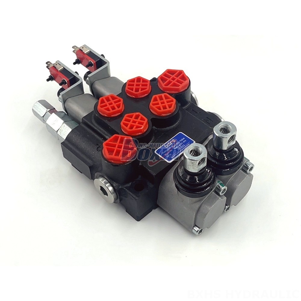 Custom Hydraulic Solutions: Design & Manufacture P40 Valves to Your Specifications detail image
